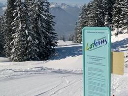 Laterns – Gapfohl