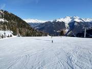 Seenock Sunny Slope