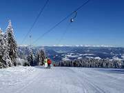 Grebenzenlift - T-bar