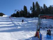 Palancana - J-bar