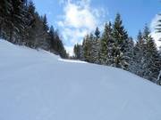 Easy slope