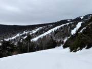 View of the slopes at Northridge and Canyon Quad