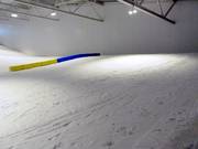 View of the beginner slope