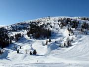 Freeride/powder areas at Monte Agaro
