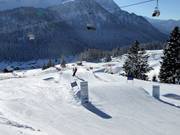 The Daisy SkiCross