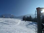 Obere Schetteregg - T-bar