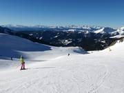 Pfnatsch slope