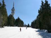 Snezhanka Peak with TV tower
