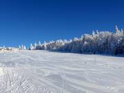 Easy and wide slope at the Almwiesenlift