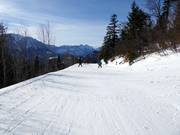 Family slope Loser