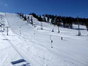 View of the slopes Specialen No. 27 and Carvingsvängen No. 28