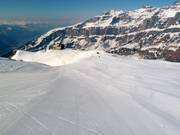 Good slope grooming