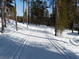 Pyhä