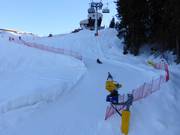 Toboggan Run Going