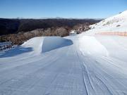 Halfpipe