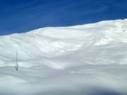 Magnificent powder slopes on the backside of the Metschstand
