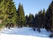 Cross-country skiing Arnsberg – Cross-country skiing Winterberg (Skiliftkarussell)