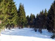 Trail at Bremberg