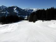 Slope to Brixen im Thale