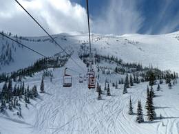 Tamarack Chair