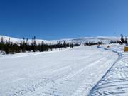 Easy slope No. 45