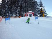 Audi Ski Run