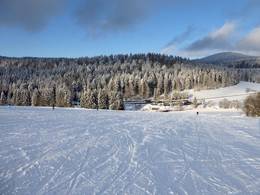 Herzogsreut (Hinterschmiding)