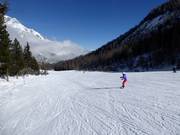 Wide easy slope towards Schlickeralm