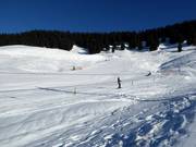 Beginner area with rope lift in Grasgehren