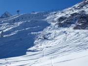 View of the Standard ski route