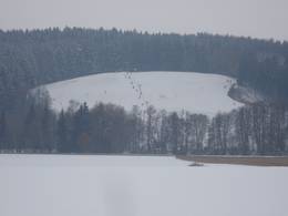 Hanslmühle – Mauern