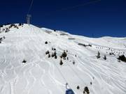 Freeriding at the Panoramabahn Geols