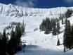 Slope offering Canadian Rockies – Slope offering Fernie
