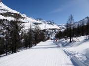 Grünsee slope