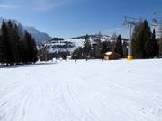 Easy slope Tschein