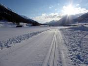 Trail in Zuoz