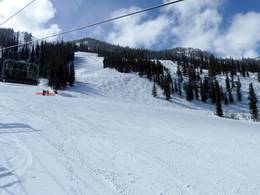 Kicking Horse – Golden