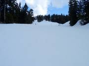 Manning downhill run at Mystery Peak Express