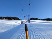 Javor 1 - T-bar
