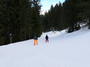 Easy slope Matschwitz-Latschau