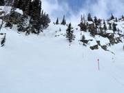 Steep mogul slope