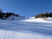 Slope towards Le Motte