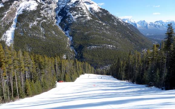 Slope offering Sawback Range – Slope offering Mt. Norquay – Banff