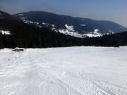 Schwinbach run