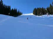 Black slope 65