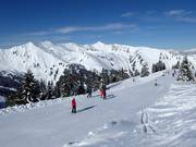 Panorama descent