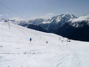 Tortue - J-bar