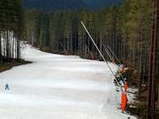 Lances line the slopes