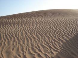 Sandboarding Dubai