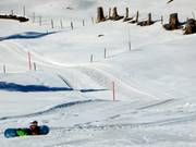 Trail at Hasliberg-Bidmi